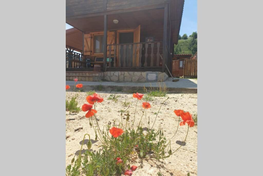 Cabana De Madera Especial Y Acogedora Cardenete 外观 照片