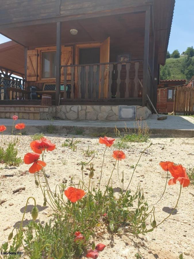 Cabana De Madera Especial Y Acogedora Cardenete 外观 照片